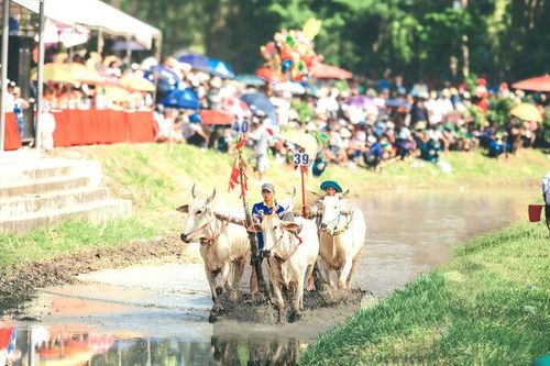Sắc màu văn hóa Khmer ở An Giang - Bài 2: Mùa hội thắp sáng văn hóa