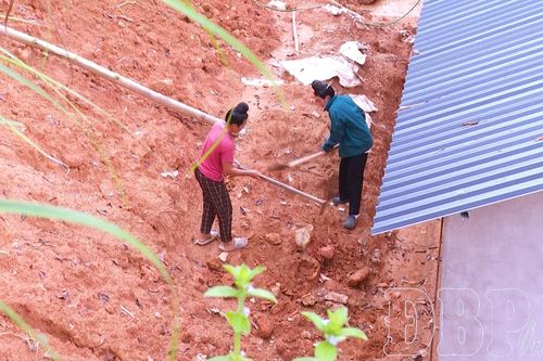 Nhận diện sớm nguy cơ, di dời dân trước mùa mưa lũ