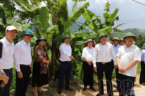 Phó Bí thư Tỉnh ủy Trần Tiến Dũng kiểm tra một số mô hình sản xuất