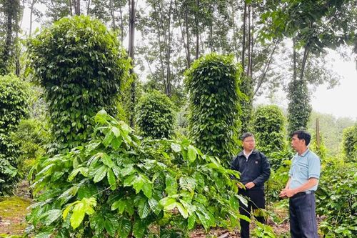 Khai thác tiềm năng, bứt phá toàn diện