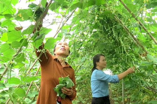 Động lực để người dân Hoàng Cương vươn lên thoát nghèo