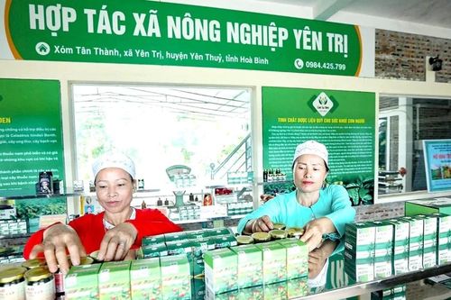 Vụ mới ở Yên Trị