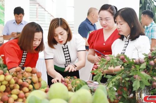 Cầu nối hỗ trợ doanh nghiệp