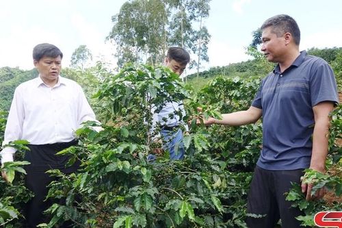 Hướng tới đô thị xanh, hiện đại, giàu bản sắc