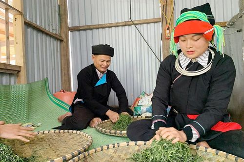 Ngan ngát hương chè