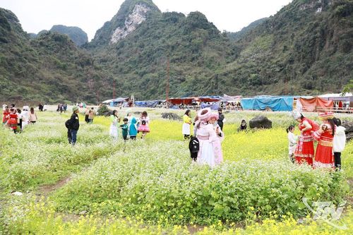 Phát triển du lịch sinh thái