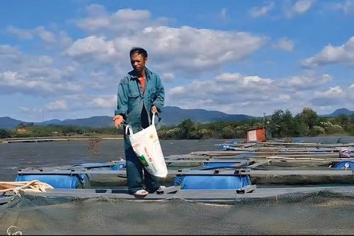 Sinh kế bền vững từ lòng hồ thủy điện
