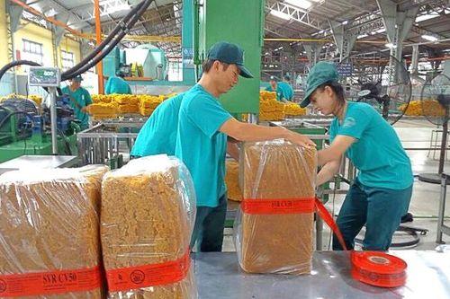 Có 2.000 tỷ đồng gửi ngân hàng, Cao su Đồng Phú (DPR) chốt chia cổ tức tiền mặt 20%