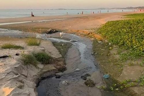 Lâm Đồng chỉ đạo khẩn xử lý tình trạng nước thải đổ ra biển Mũi Né