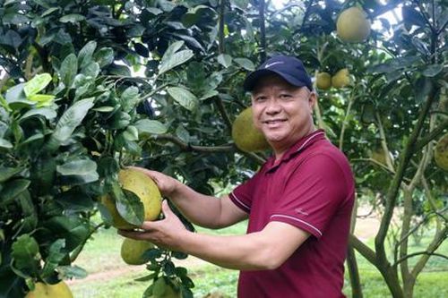 Phát triển nông nghiệp hữu cơ tạo giá trị mới trong sản xuất