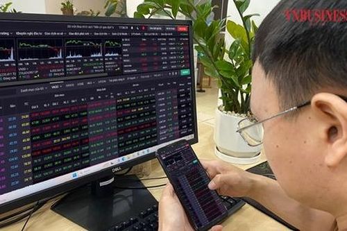 Rủi ro cao với cổ phiếu 'trà đá'
