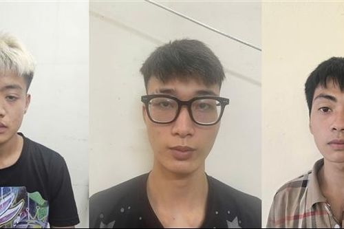 Trào lưu chặt biển số xe mô tô khiến nhiều thanh thiếu niên vi phạm pháp luật