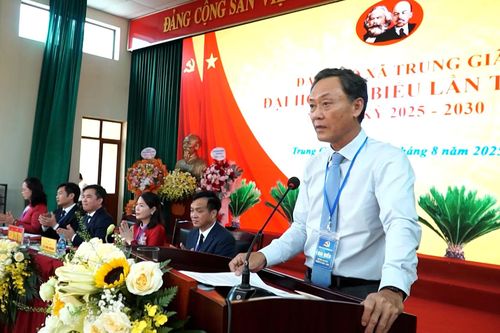 Trung Giã mở lối du lịch sinh thái dưới tán rừng xanh