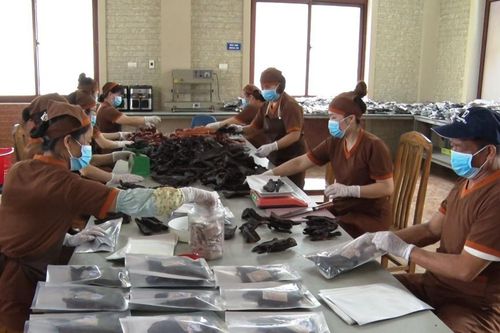 119 đơn vị, hộ kinh doanh nợ đóng các loại bảo hiểm cho người lao động