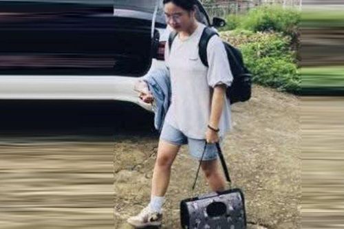 Bị mẹ mắng vì để mèo đi vệ sinh bậy ra nhà, nữ sinh vừa đỗ đại học ôm mèo bỏ nhà đi