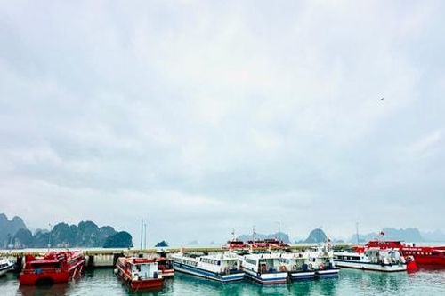 Lắp đặt hệ thống định vị, cảnh báo giông lốc bảo đảm an toàn trên vịnh Hạ Long