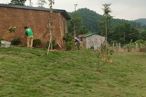 Vi phạm quản lý khiến hơn 610.000m2 đất rừng tại Sóc Sơn, Hà Nội bị chuyển nhượng trái phép