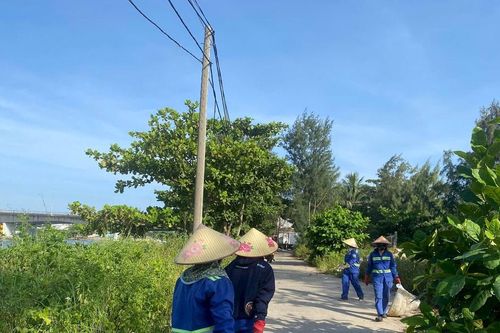 Đà Nẵng: Tuần tra, xử lý nghiêm nạn đổ trộm rác ở vịnh Mân Quang