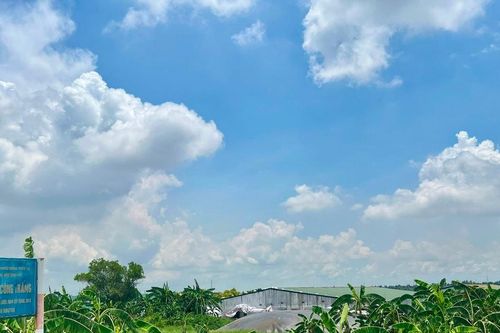 Hải Phòng: Người dân phản ánh trại lợn gây ô nhiễm, chính quyền vào cuộc