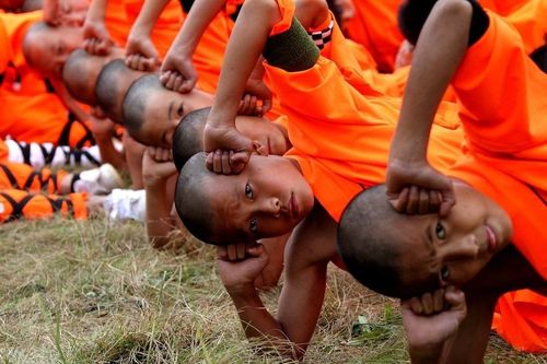 'Cú ngã' của Thiếu Lâm Tự vén màn góc tối kinh tế chùa chiền