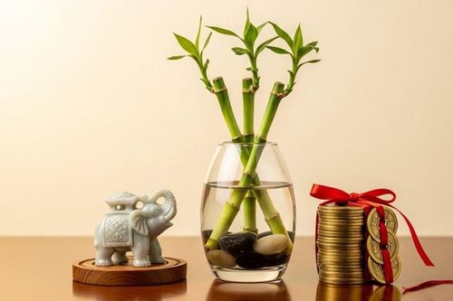Con số may mắn của 12 con giáp hôm nay 13.8.2025