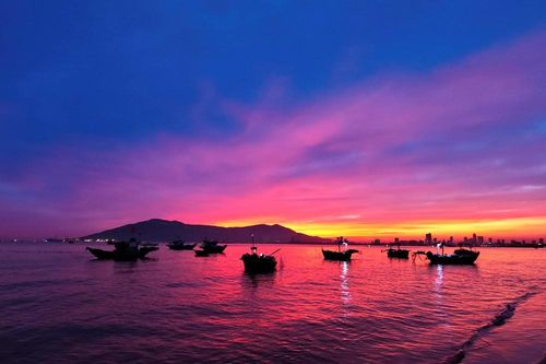 Khám phá chợ hải sản lúc bình minh bên bờ biển Đà Nẵng