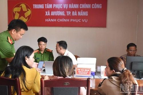 Đà Nẵng bố trí sinh viên IT hỗ trợ ứng dụng công nghệ thông tin, chuyển đổi số tại các phường, xã