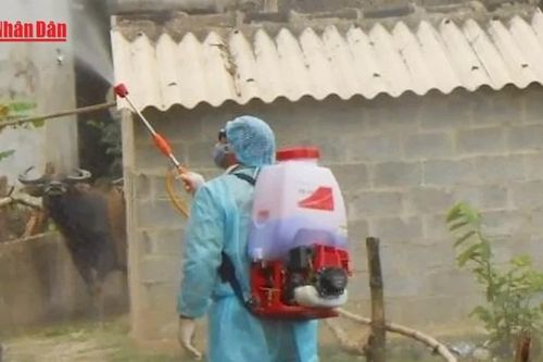 Nguy cơ Chikungunya: Việt Nam tuyệt đối không chủ quan
