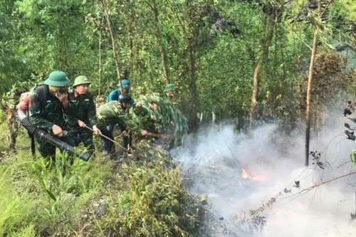 Hàng trăm người dập lửa cứu rừng