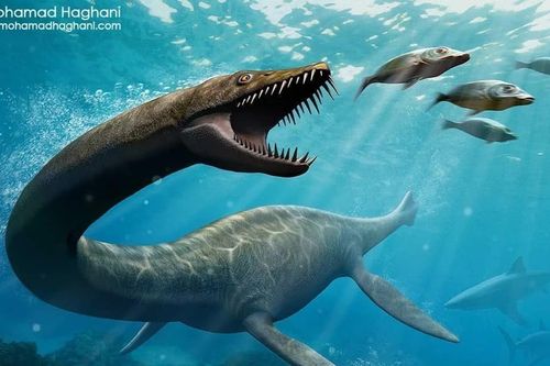 Kinh sợ loài quái vật được mệnh danh 'Chúa tể biển sâu' kỷ Phấn Trắng