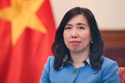 Công tác lãnh sự, bảo hộ công dân đóng góp vào thành tựu chung của đối ngoại Việt Nam