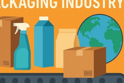 Thị trường giấy đóng gói hướng tới mốc 83,3 tỷ USD vào 2035