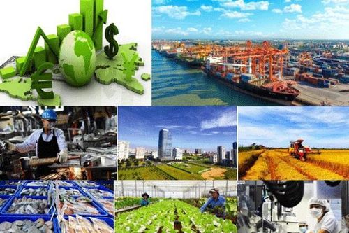 Tin tức kinh tế ngày 13/8: Gạo Việt lội ngược dòng giữa áp lực dư cung toàn cầu