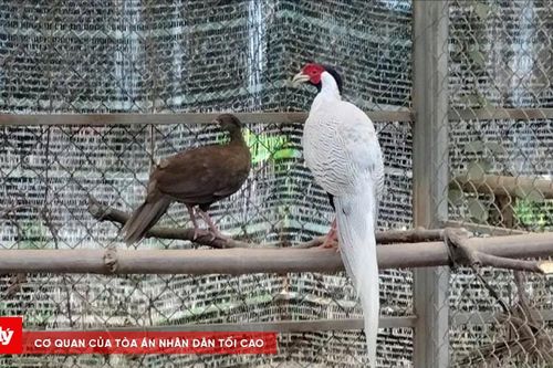 'Ngôi nhà an toàn' cho động, thực vật quý hiếm