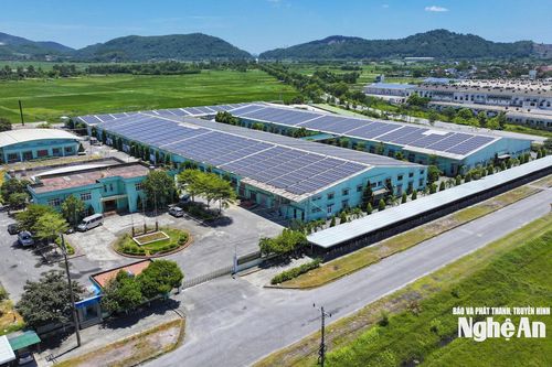 Vi phạm lĩnh vực tài nguyên nước, Chi nhánh Tổng công ty CP Dệt may Hà Nội – Nhà máy may Nam Đàn bị phạt hơn 61 triệu đồng