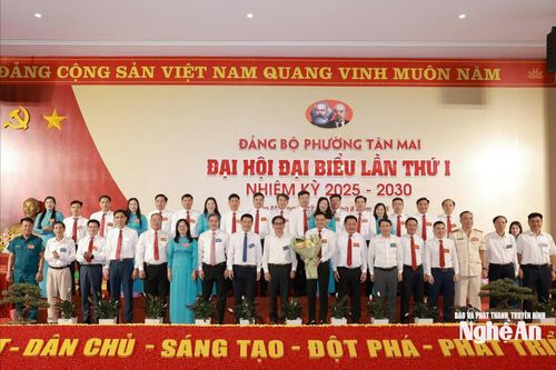 Phấn đấu xây dựng Tân Mai trở thành phường khá của cả nước