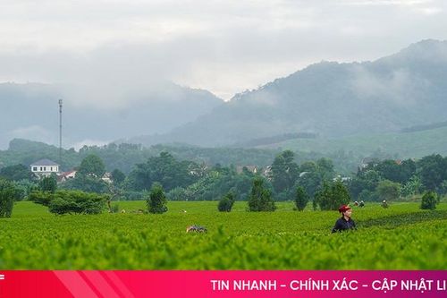 ADB hỗ trợ phát triển du lịch cộng đồng tại Hà Tĩnh