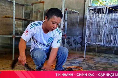 Nuôi con 'đặc sản', nông dân thu lãi cả trăm triệu đồng