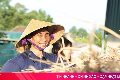 Người dân phấn khởi kiếm tiền từ cây dại ven sông