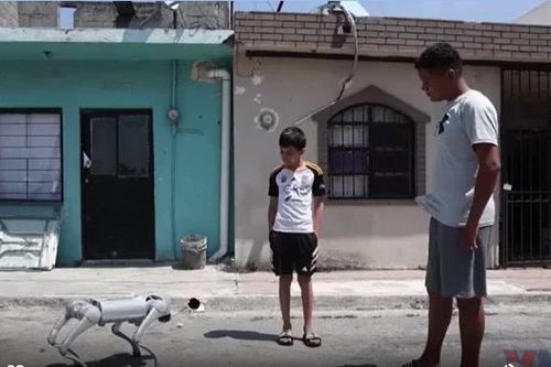 Mexico: Chó robot nâng cao nhận thức về đối đãi với động vật