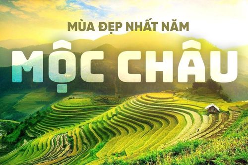 Mộc Châu mùa đẹp nhất năm, đi ngay kẻo lỡ