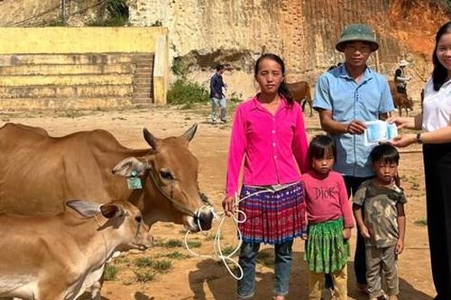 Hỗ trợ 50 mô hình sinh kế cho phụ nữ nghèo