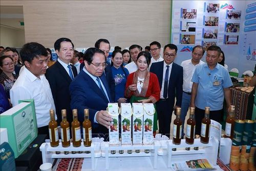 Thủ tướng dự Tổng kết Chương trình mục tiêu quốc gia phát triển kinh tế - xã hội