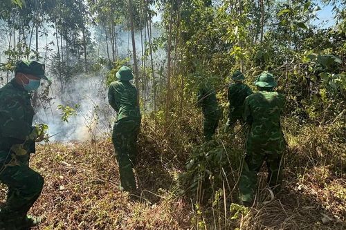 Đồn Biên phòng Mỹ An kịp thời dập tắt cháy rừng