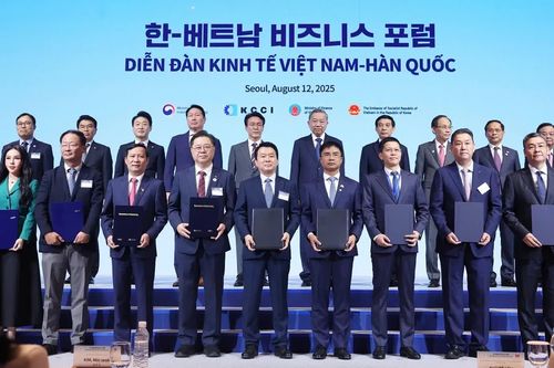 KN Holdings hợp tác Samsung C&T phát triển 864MW điện mặt trời nổi