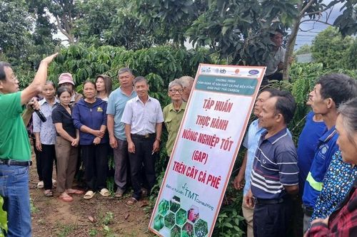 Lâm Đồng thiết lập tiêu chí bảo vệ rừng cho ngành nông nghiệp