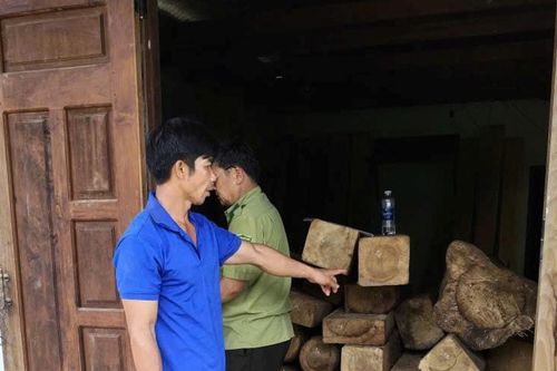 Hai người đàn ông ở xã Bảo Lâm 5 tàng trữ trái phép gần 7 mét khối gỗ