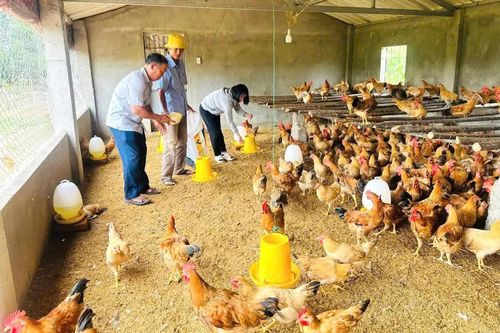 Kỳ vọng của cử tri về kỳ họp thứ 2, HĐND tỉnh khóa VIII