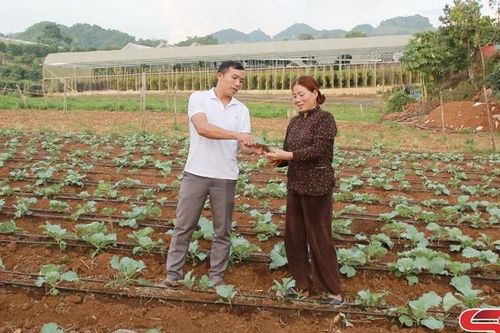 Những bí thư chi bộ gương mẫu học và làm theo Bác