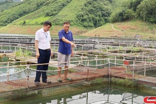 Nông dân Mường La nuôi cá trên lòng hồ thủy điện